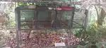 Pets cage for sale