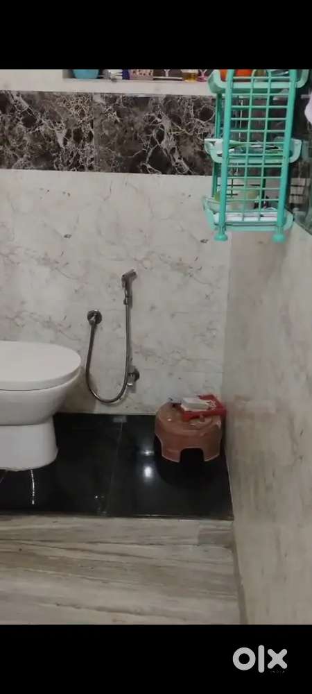 One bhk in sector 13 hisar for small family