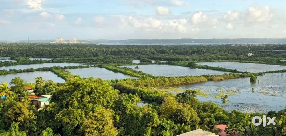 For sale private river facing  villa located in Curca within 18months