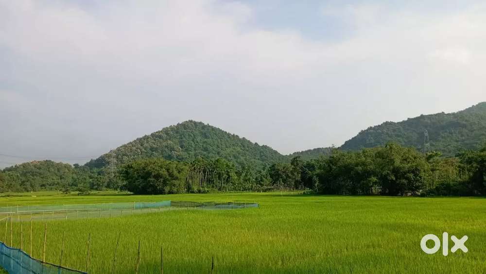 1 Bigha Land near Bongaigaon Medical College & Hospital