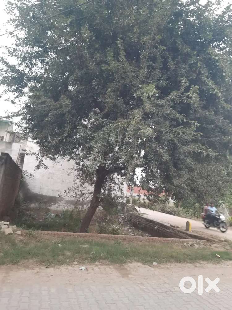 Pargati nagar extension .on police line road