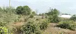 195 square yard, JDA, East, Residential plot for sale at Jagatpura