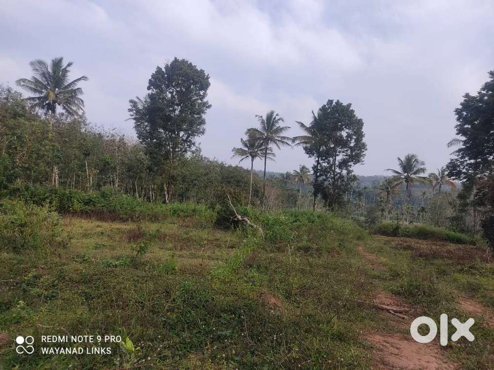 1.80 Acres of Pure Beauty in Dasanakkara! Wayanad