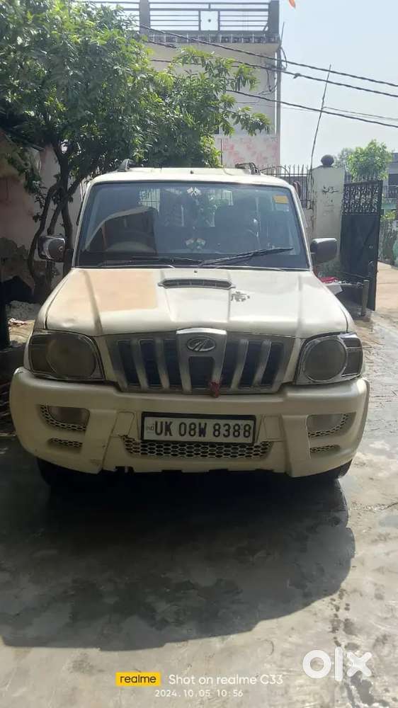 Arjent sell