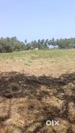 Land for sale in kathankadai negotiable
