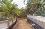 11 Cent House Plot for Sale – Sanjo Nagar, Muringoor, Chalakudy