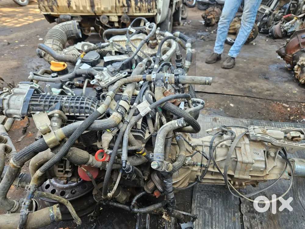 Banelo Engine 2020
