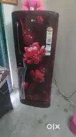 Lg big size refrigerator