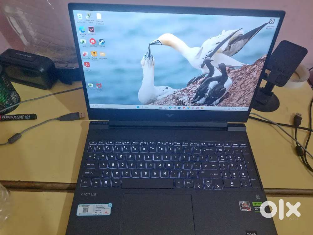 Victus laptop