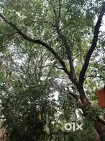 2BHK Flat on 1st floor for rent