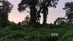 3 acre Empty land for sale