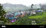 Kuttiyarvely munnar plot 5 cent