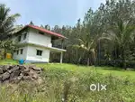 Coffee Estate with Farm House for Sale!  - Location: Chikkamagaluru -
