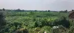 Plotted Land Available for sale in Upcoming Township near Jalpaiguri