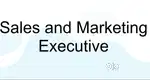 sales executive
