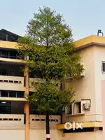 1 bhk flat for rent