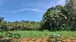 Land for sale near Manimala, vellavoor.