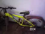 Rodeo cycle for sale