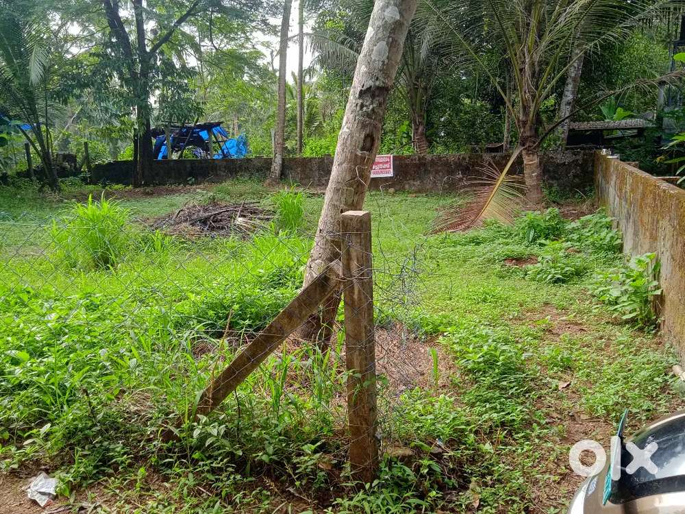 Kadavallur plot for sale