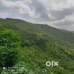 Farm land for sale in Tiosa Maharashtra