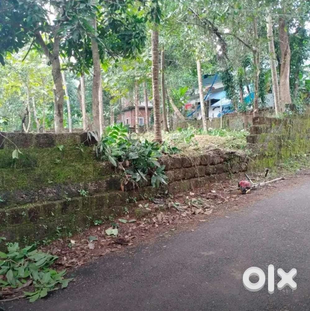 House Plot   കീച്ചേരി മൊറാഴ