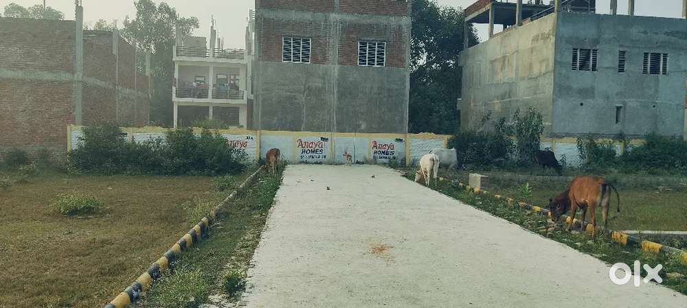 RESIDENTIAL PLOT NEARBY SGPGI LUCKNOW