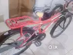 Roland Bicycle