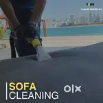 Need boys for sofa cleaning