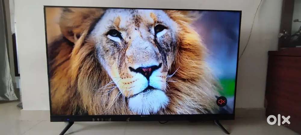 50 Inch Nebillio  Smart Android LED TV