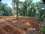 Residential plot