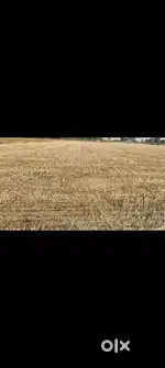 Agriculture land near jewar airport