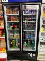 Bluestar double door 1000L fridge