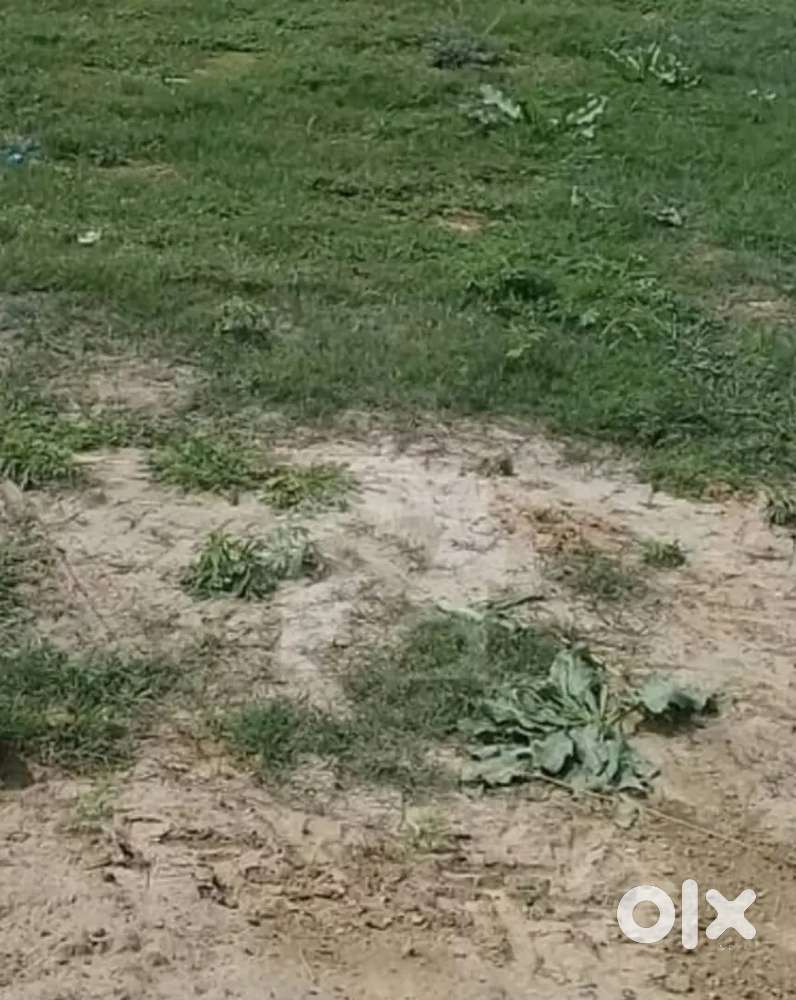 Plot for sale 21×50,approved colony