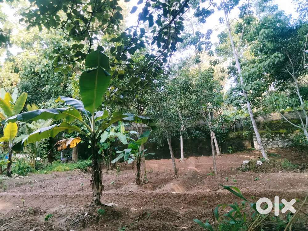 Near Korani NH road (250 meter).