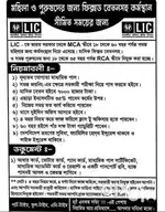 LIC Agent Job (Full Time)
