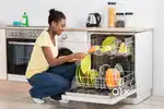 Dishwashers and Gardeners
