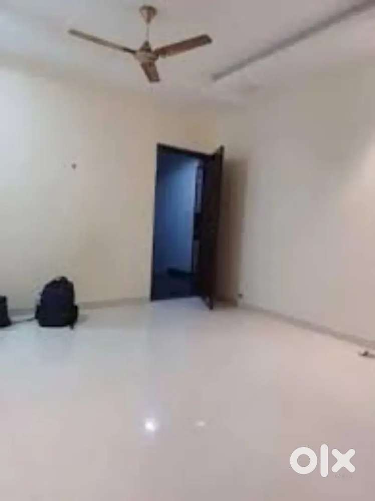 Need Girl Flat partner