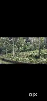 Madathara venkolla 45 cent plot for sale