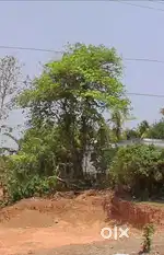 26 Cent Plot for Sale – Ideal for Residential or Investment