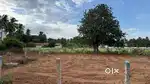 5.60cent Dtcp Approved site for sale in vadavalli