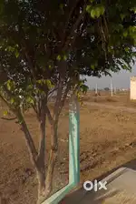 500 Mtr from Highway NH2, Near Upcoming very Big Jain Mandir, Raipuraj