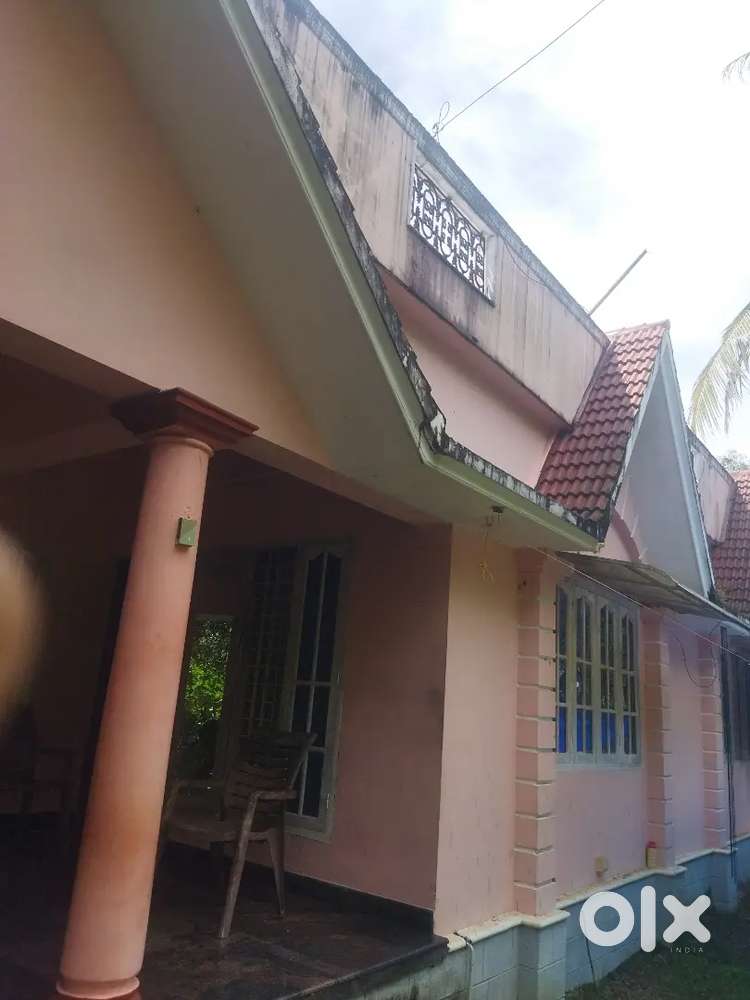 Hose plot in koratty thirumudikkunu