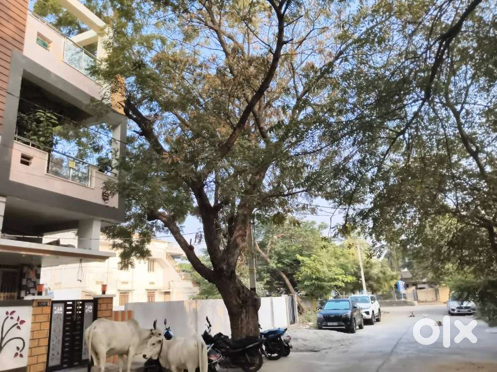 1 BHK VIDYUTH NAGAR NEAR KUMAR HOSPITAL SBI ICICI BANK