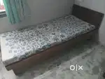 Single  bed cum sofa