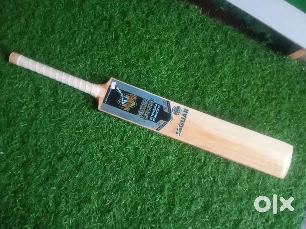 Nice sports