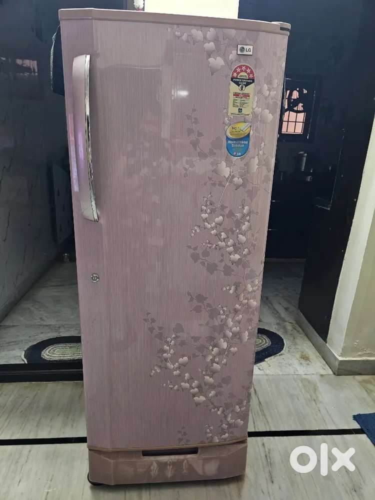 LG 5 star refrigerator