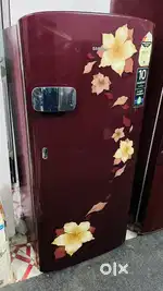Fridgessss