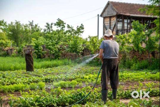 Gardner Job at Aluva