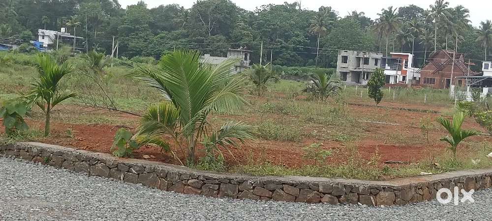 ANGAMALY APPOLLO HOSPITAL NEAR BY 4,5,8, 10, 20 CENT PLOTS AVAILABLE