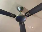 3 ceiling Fans (Havells)